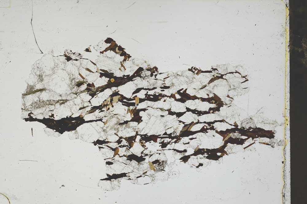 Plane Polarized, S46520