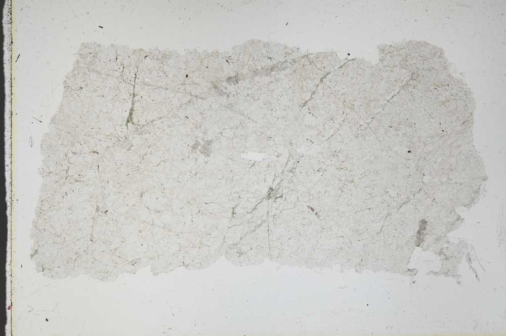 Plane Polarized, S46525
