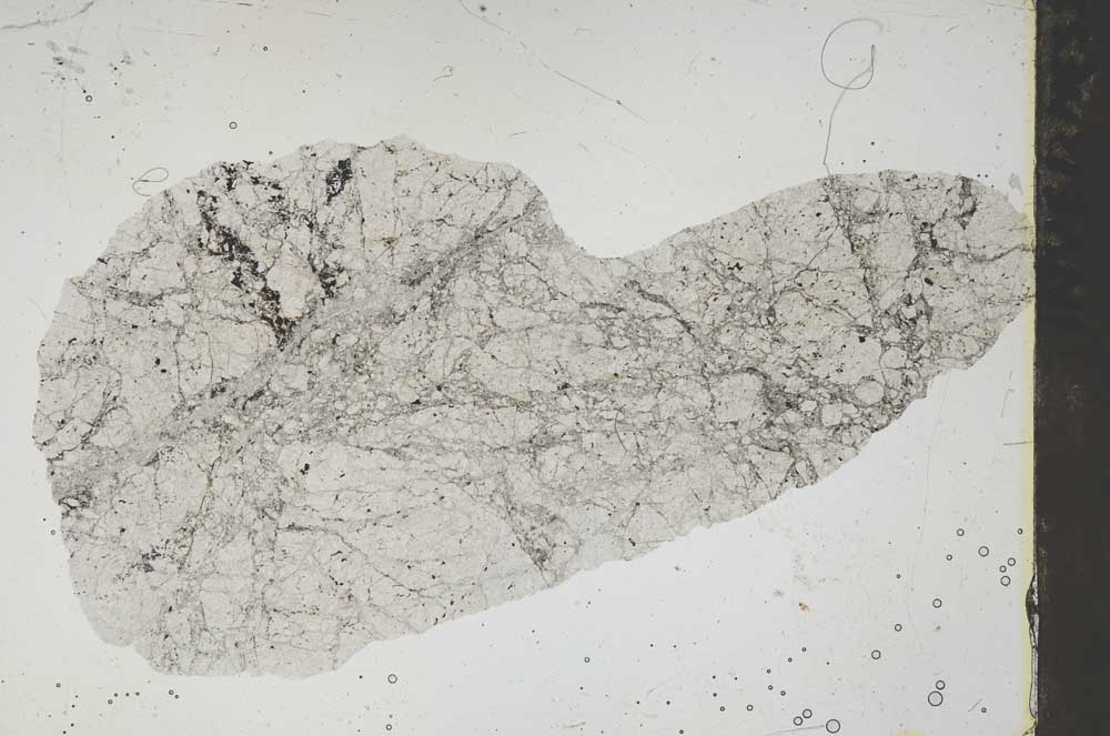 Plane Polarized, S46526