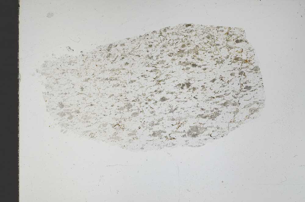 Plane Polarized, S46550