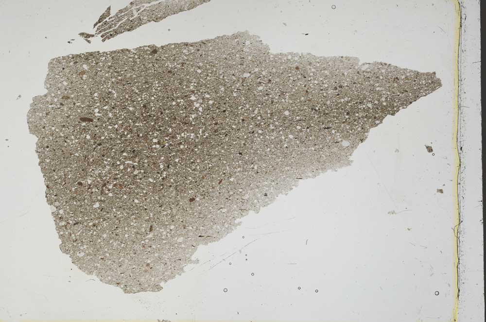 Plane Polarized, S46623