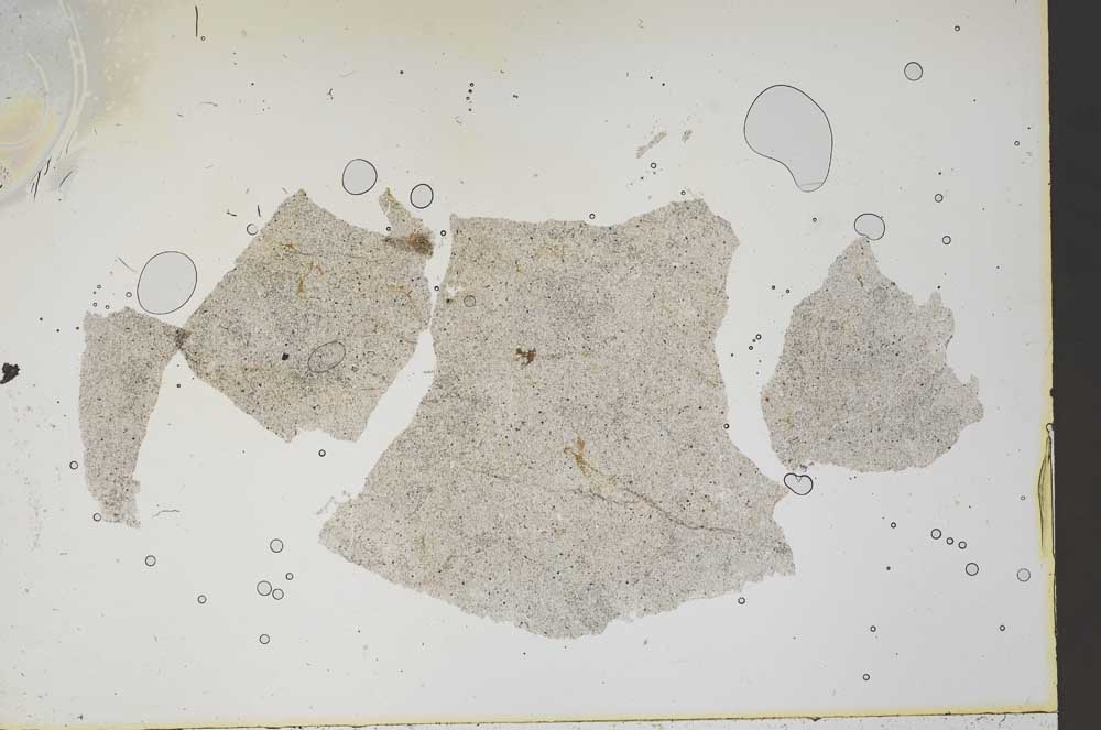 Plane Polarized, S46686