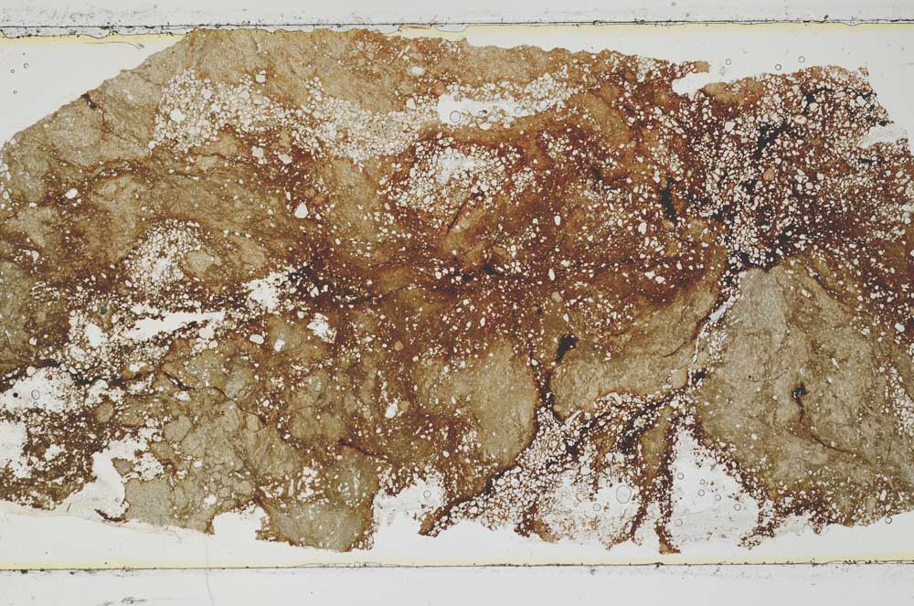 Plane Polarized, S46695