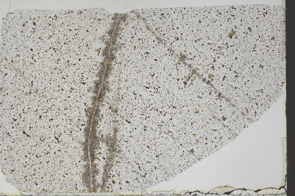 Plane Polarized, S46733