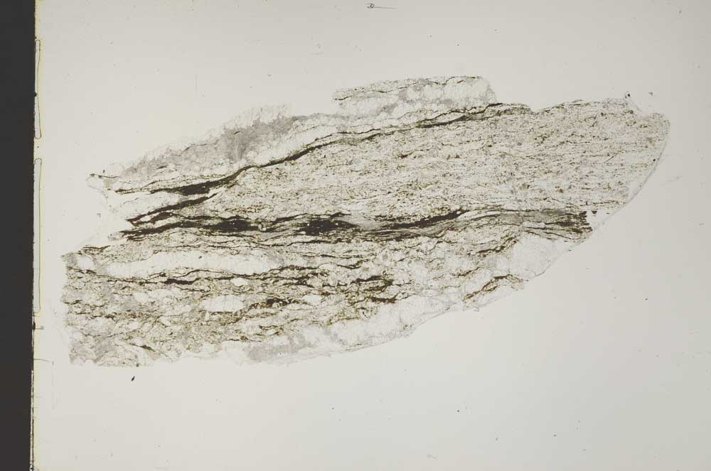 Plane Polarized, S46759