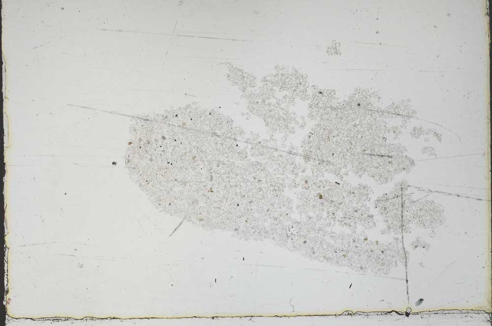 Plane Polarized, S46835