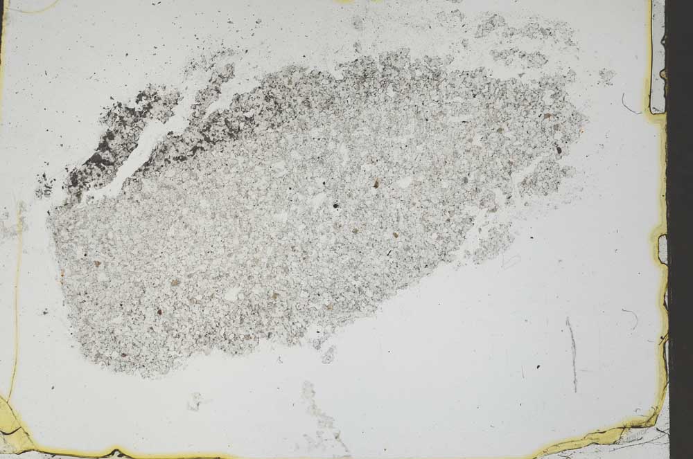 Plane Polarized, S46838