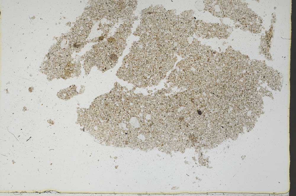 Plane Polarized, S46846