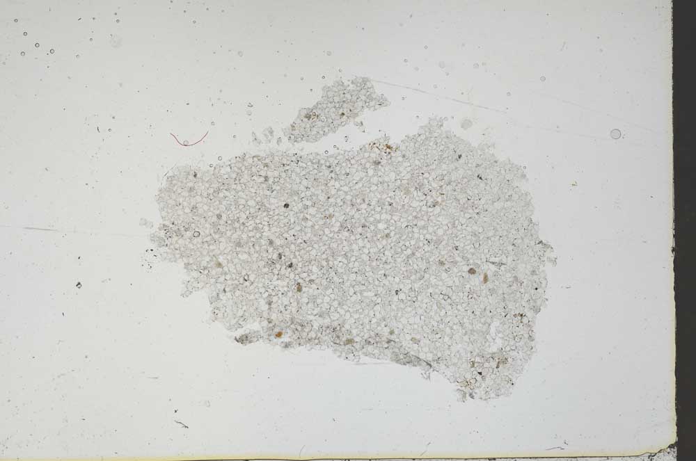 Plane Polarized, S46847