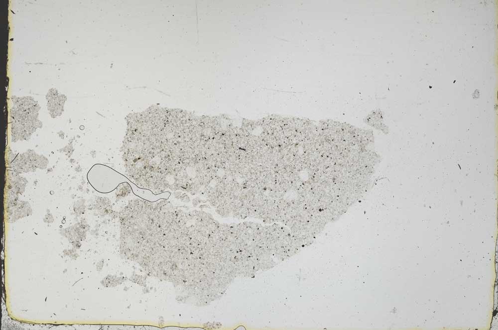 Plane Polarized, S46850