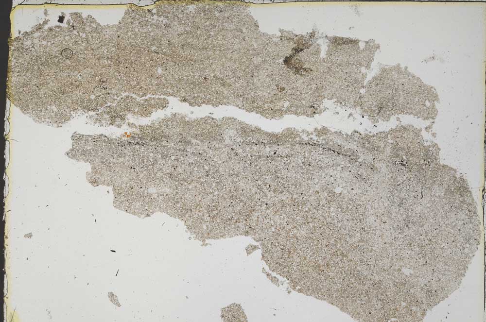 Plane Polarized, S46852