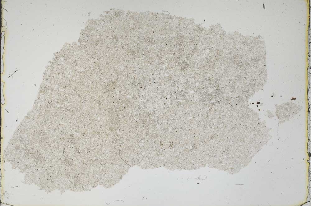 Plane Polarized, S46853