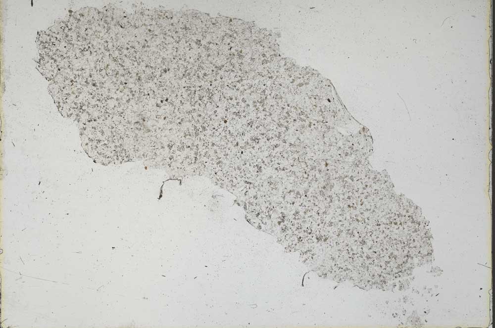 Plane Polarized, S46854