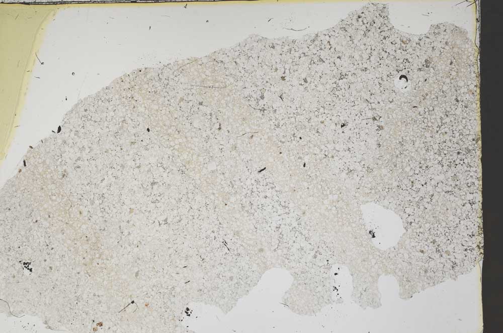 Plane Polarized, S46855