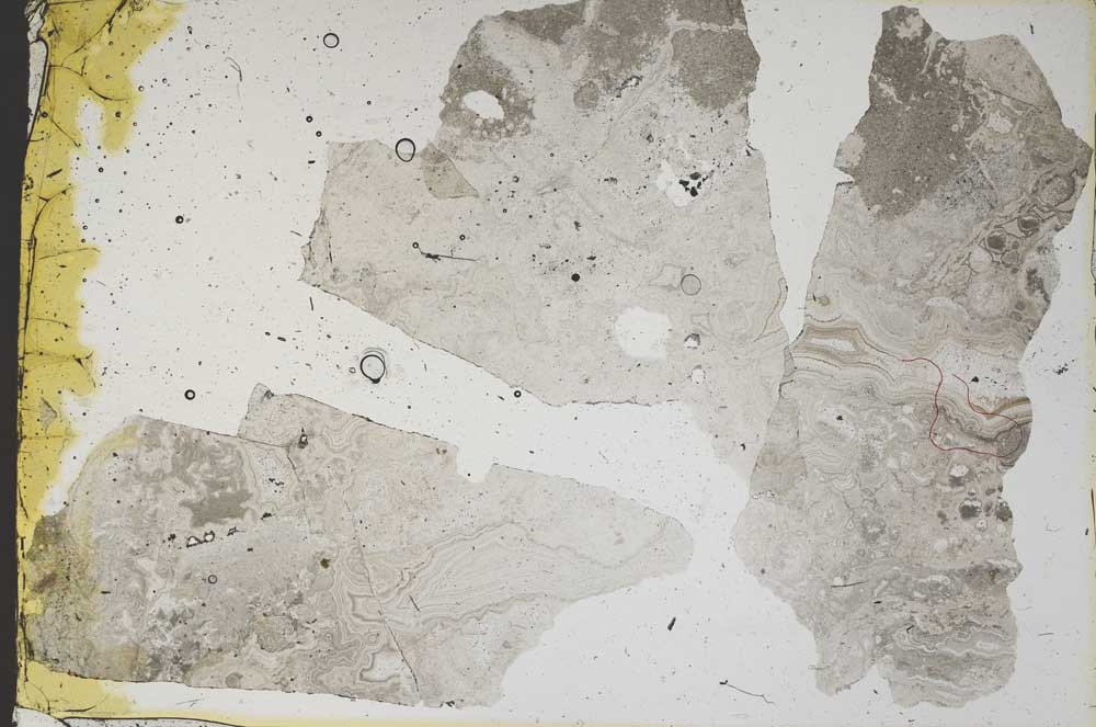 Plane Polarized, S46858