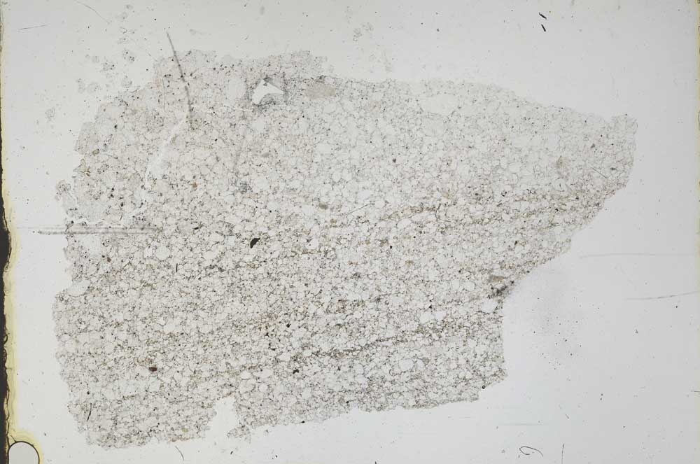 Plane Polarized, S46859