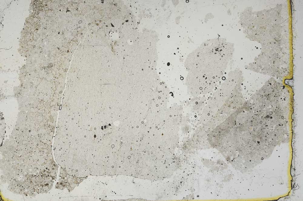 Plane Polarized, S46870