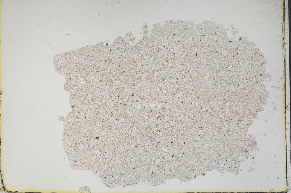 Plane Polarized, S46871