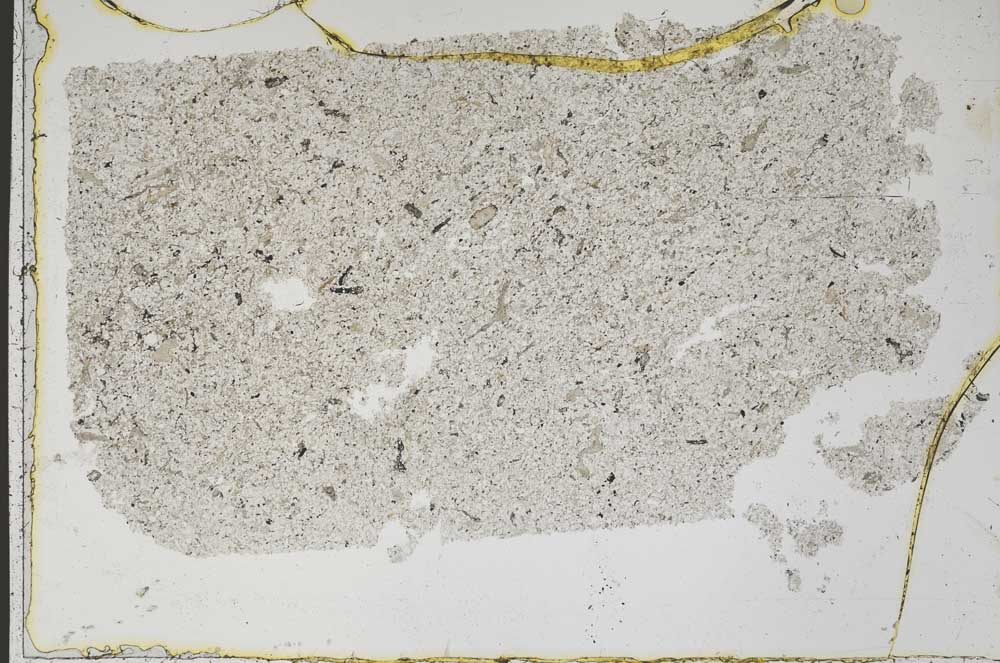 Plane Polarized, S46876