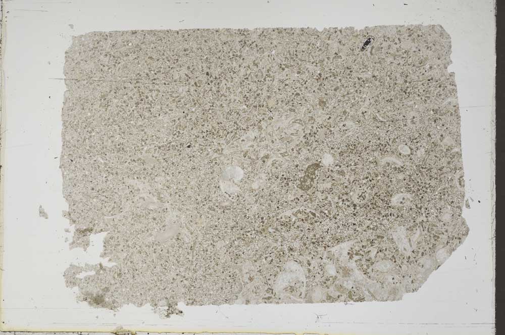 Plane Polarized, S46884