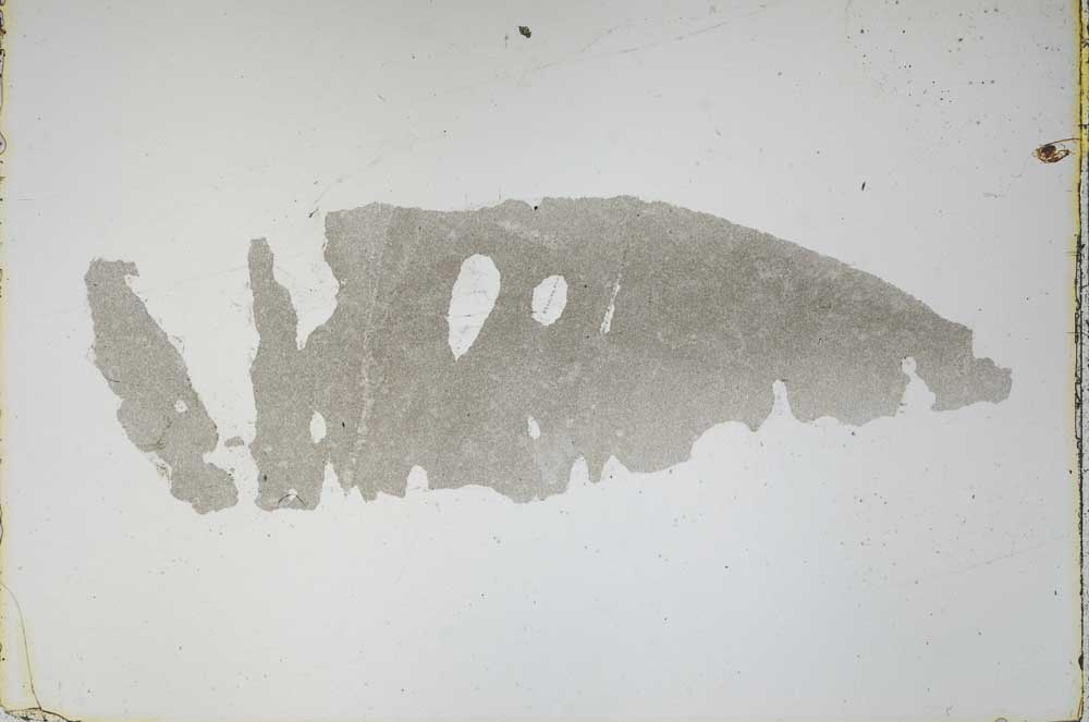 Plane Polarized, S46897