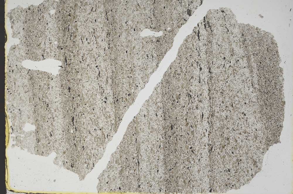 Plane Polarized, S46902