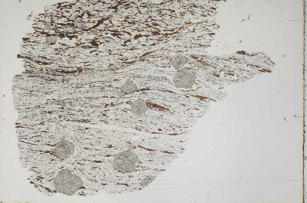 Plane Polarized, S46946