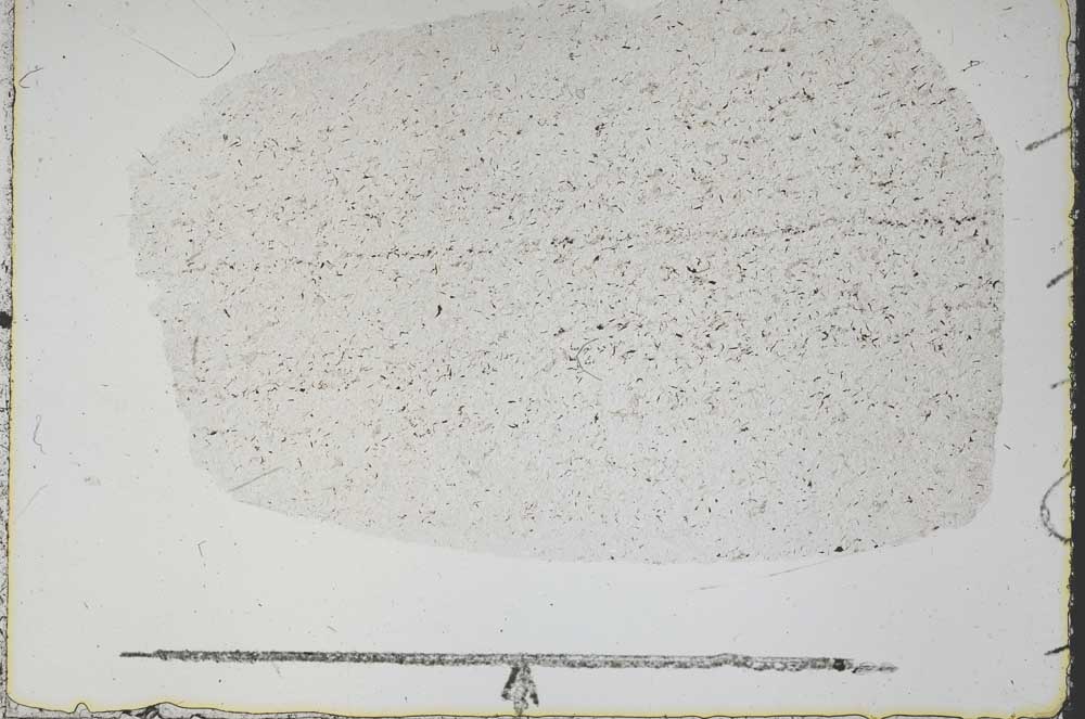 Plane Polarized, S46979