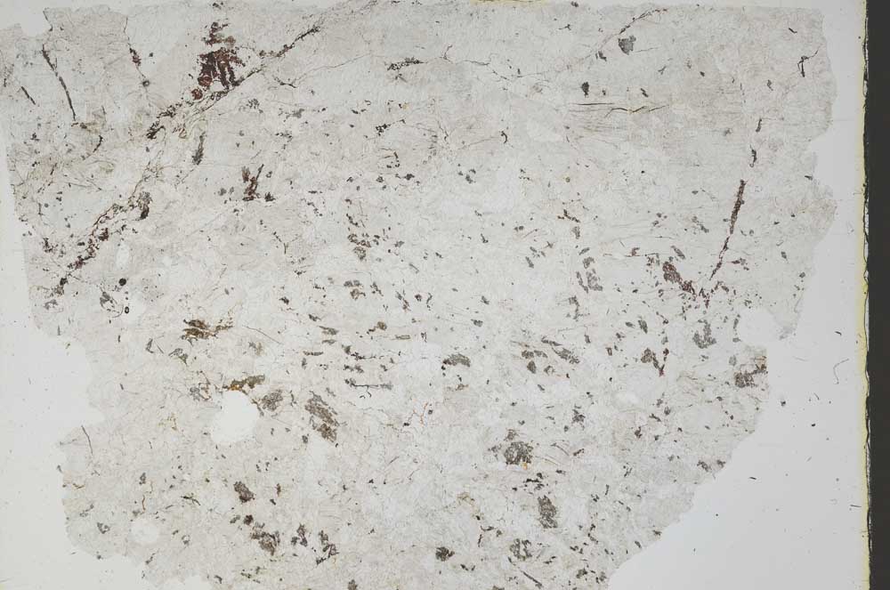 Plane Polarized, S46982