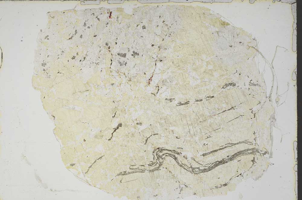 Plane Polarized, S46982/A