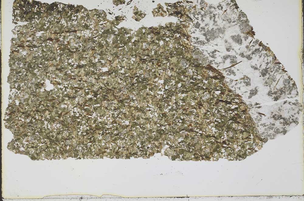 Plane Polarized, S46983