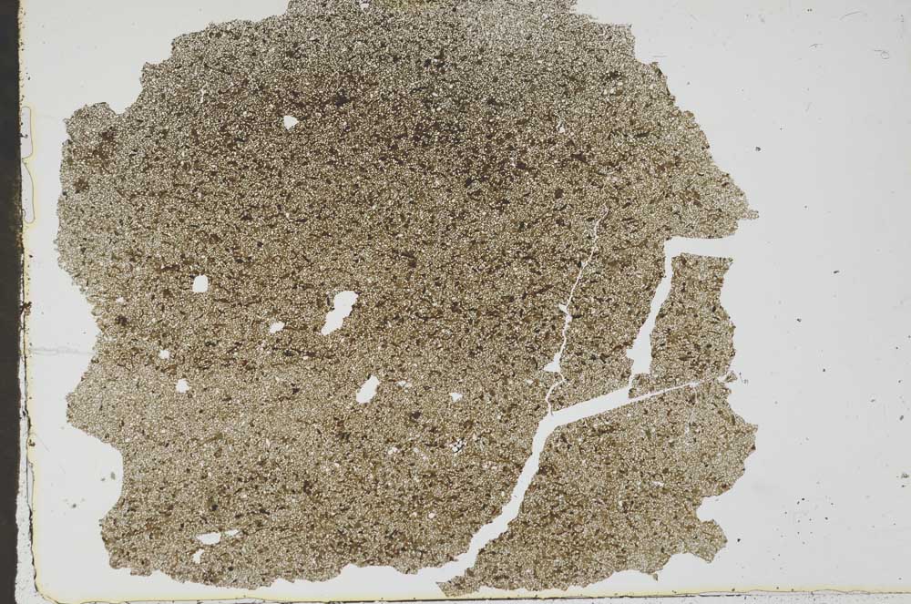 Plane Polarized, S47007