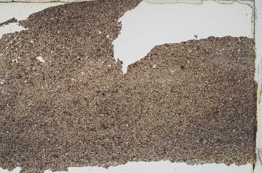 Plane Polarized, S47007/A