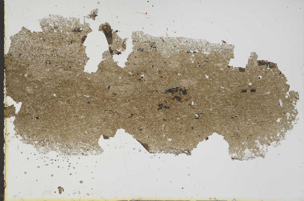 Plane Polarized, S47008