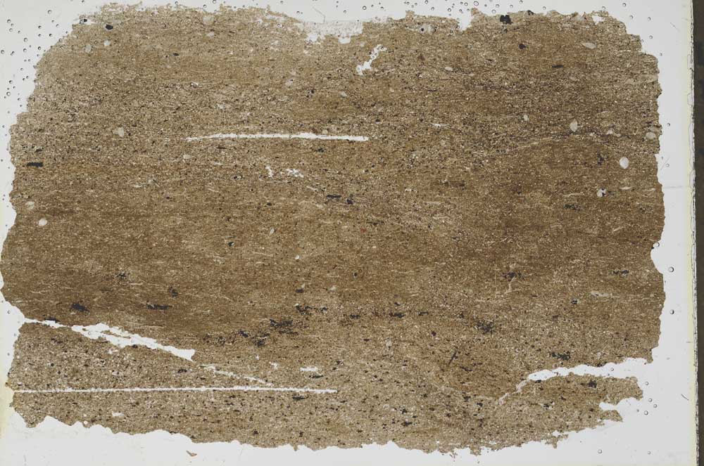 Plane Polarized, S47009