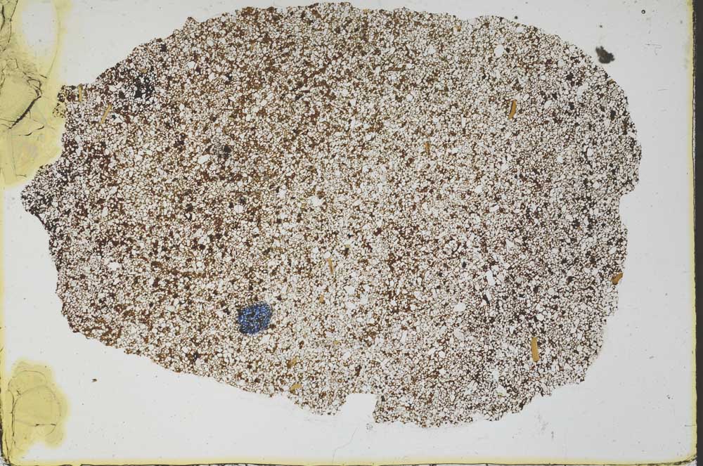 Plane Polarized, S47010