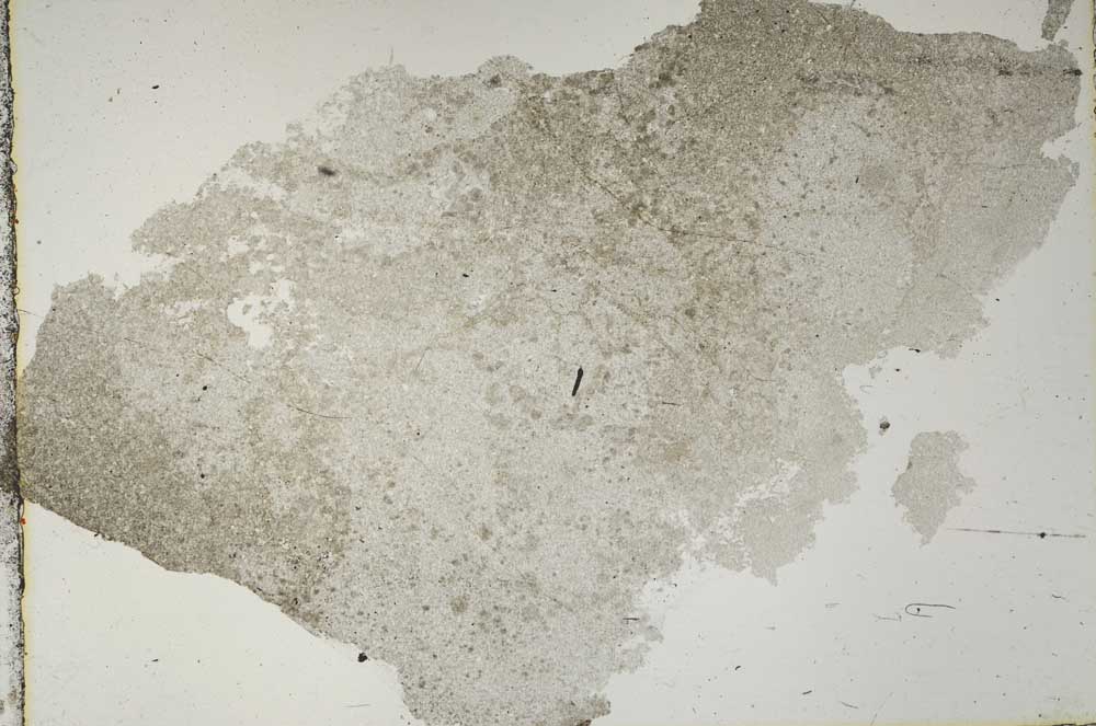 Plane Polarized, S47045