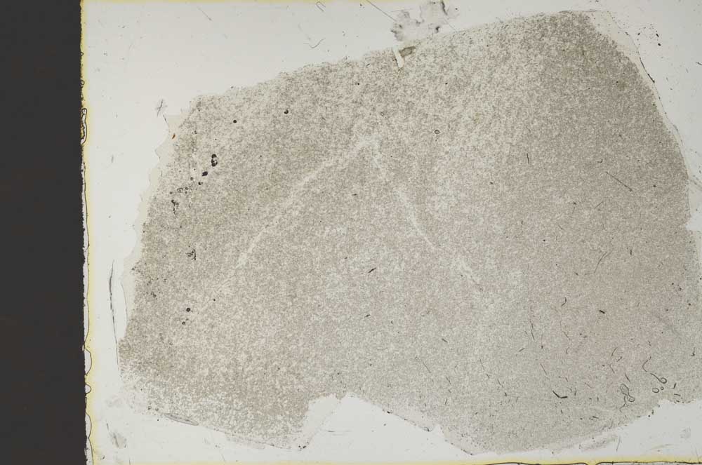 Plane Polarized, S47046