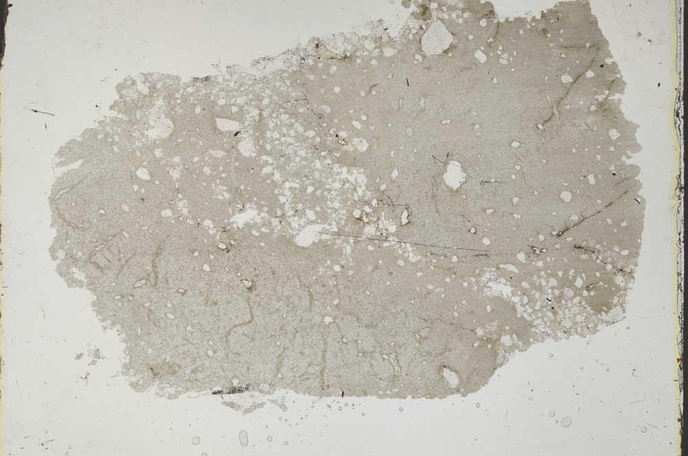 Plane Polarized, S47047