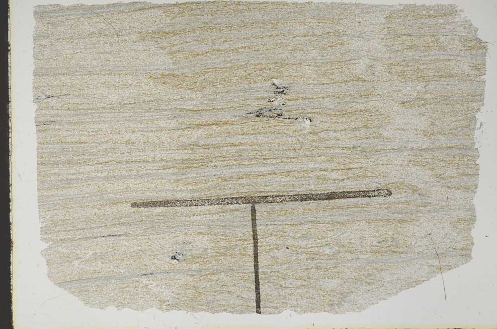 Plane Polarized, S47058