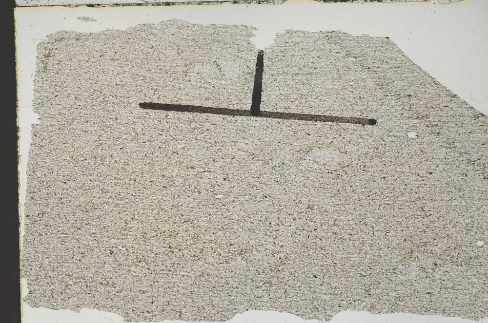 Plane Polarized, S47060