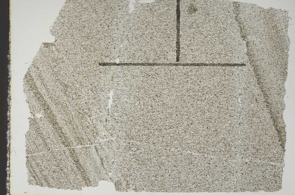 Plane Polarized, S47061