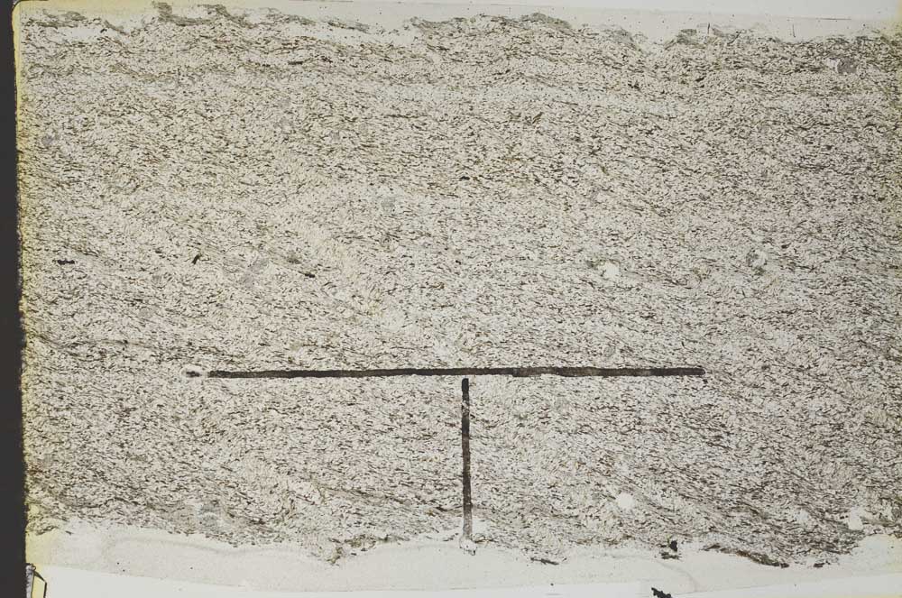 Plane Polarized, S47068