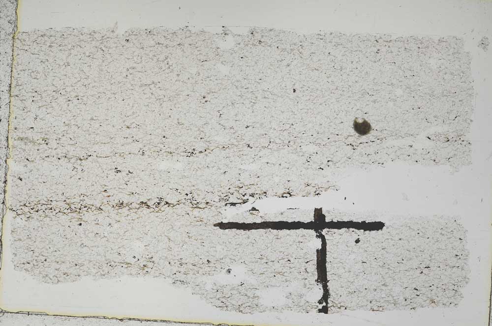 Plane Polarized, S47073