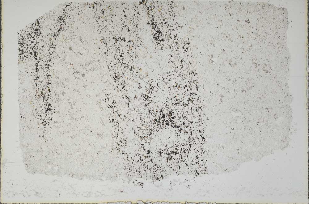 Plane Polarized, S47074