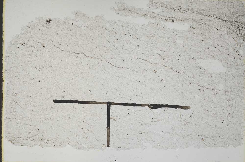 Plane Polarized, S47076