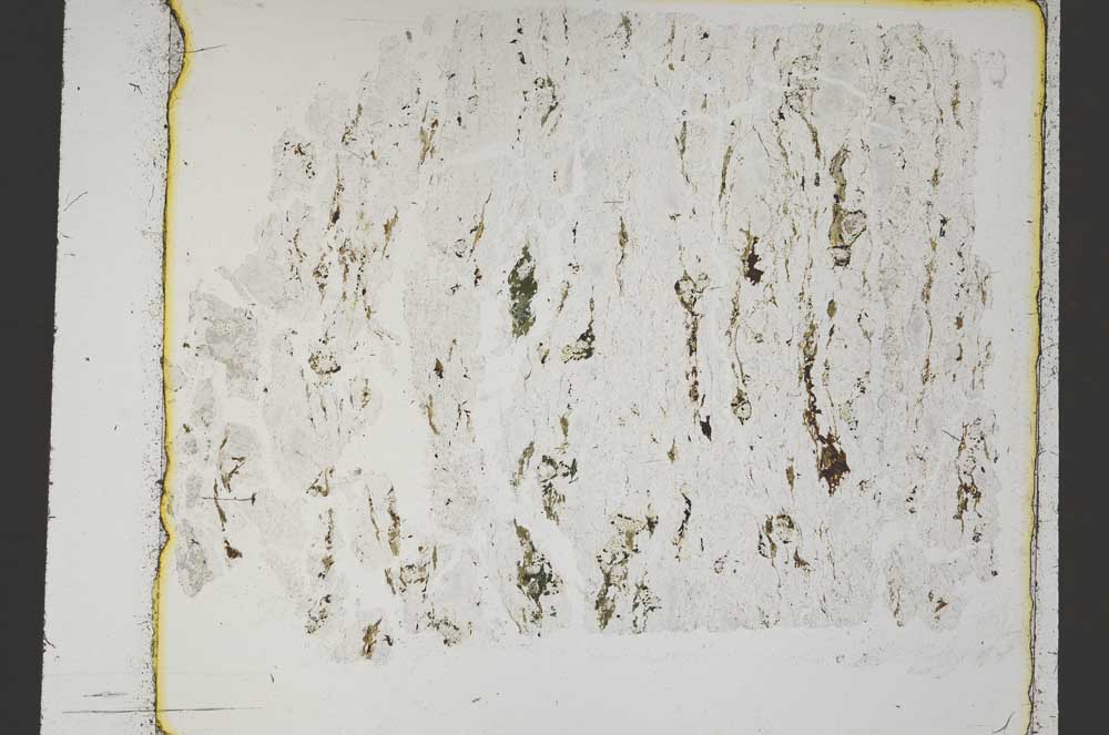 Plane Polarized, S47084