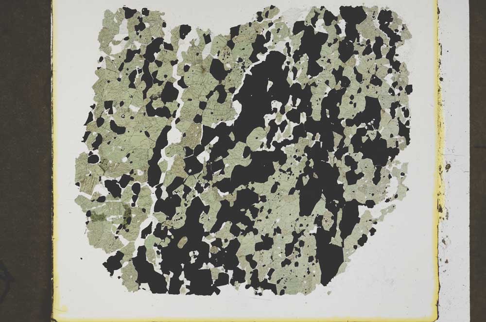 Plane Polarized, S47106