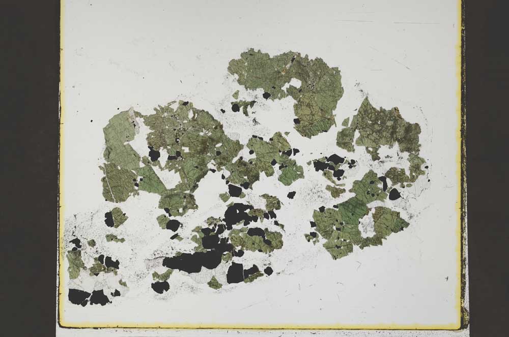 Plane Polarized, S47112