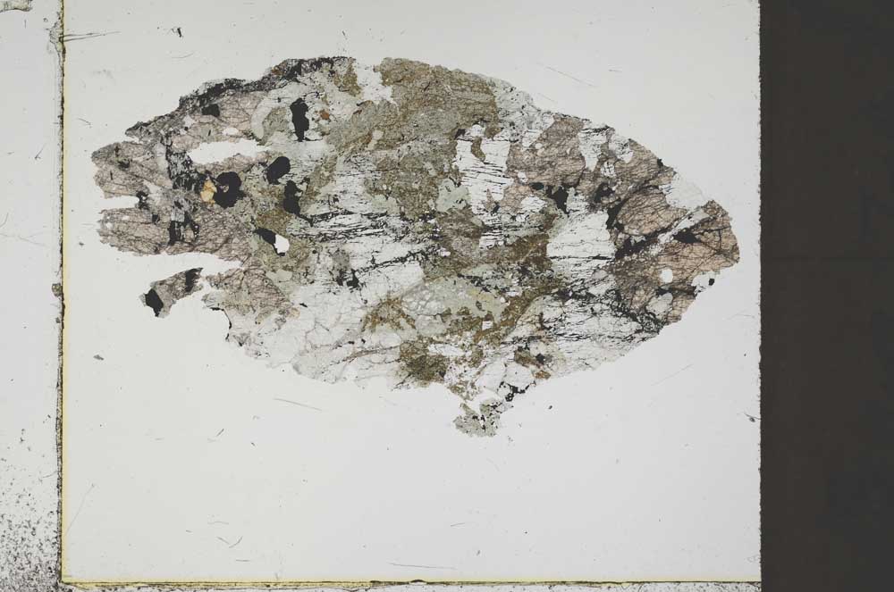 Plane Polarized, S47149